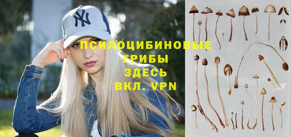 spice Белокуриха