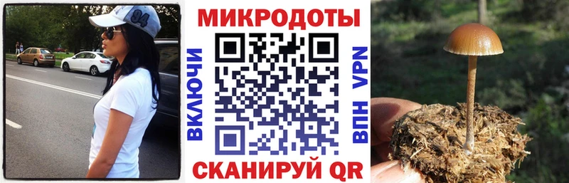 mega ТОР Ахтырский Галлюциногенные грибы MAGIC MUSHROOMS как найти закладки